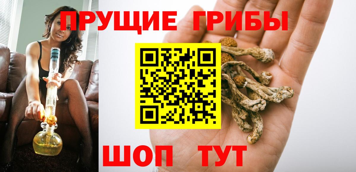 Галлюциногенные грибы прущие грибы  Вход с VPN  Псилоцибиновые грибы прущие грибы  Изобильный 
